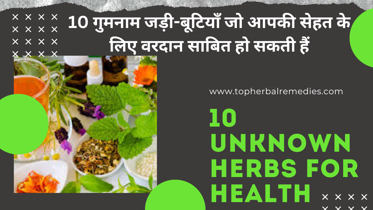 10 unknown herbs for health